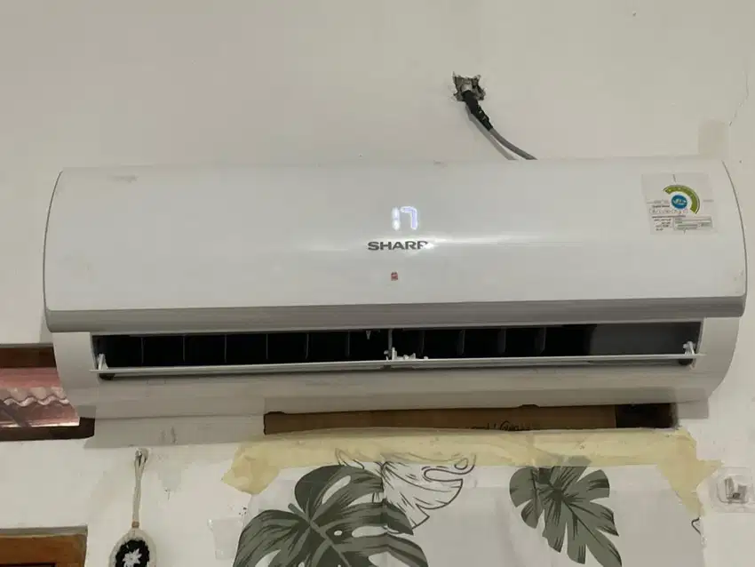 Ac sharp 1 pk 2024