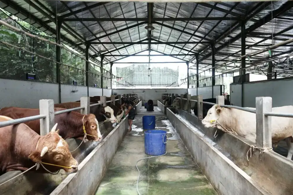 DI JUAL RUMAH UTAMA +  EXS PETERNAKAN  DI JONGGOL BOGOR