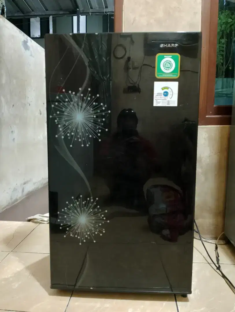 kulkas Sharp 1 pintu