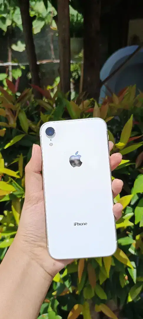 Iphone XR 128GB Bea Cukai