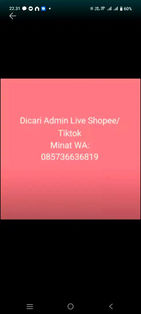 Dicari Admin Live