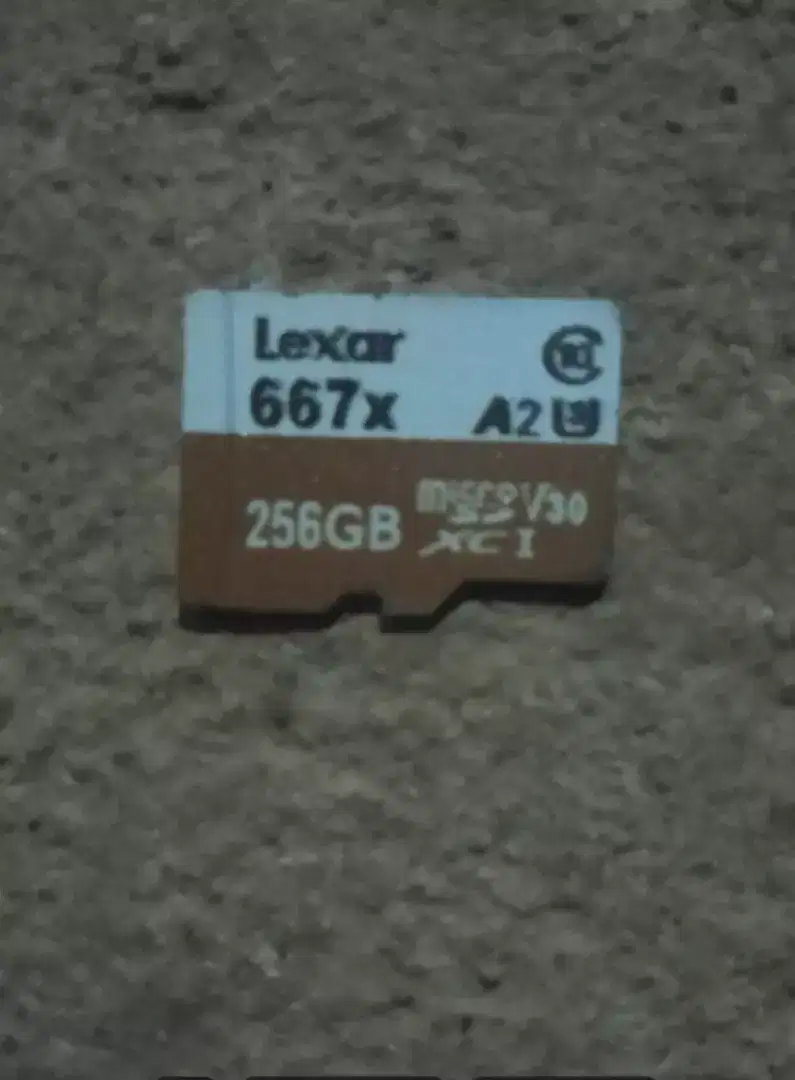 Memory Card 256 GB