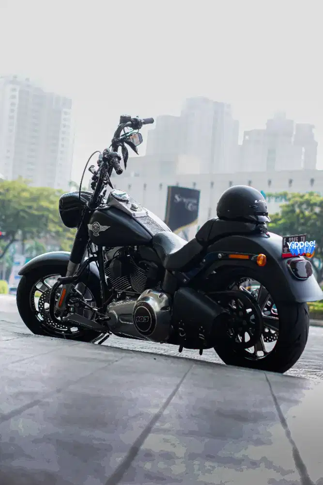 HD SOFTAIL FATBOY LOW SPECIAL 2014, FP MABUA