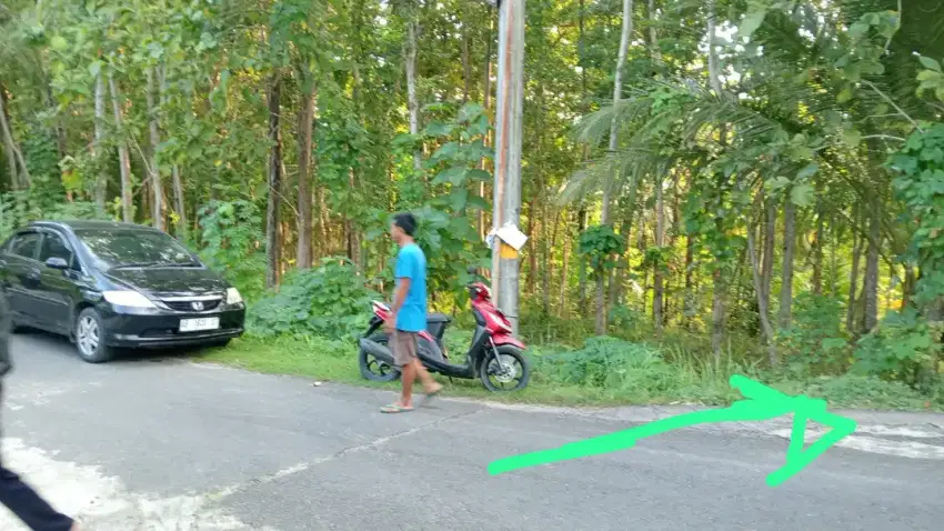 Jual tanah posisi datar di pengasih kp