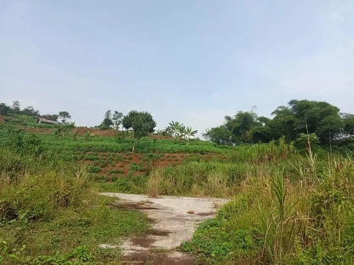 Dijual lahan bagus di dekat exit tol Cikamuning