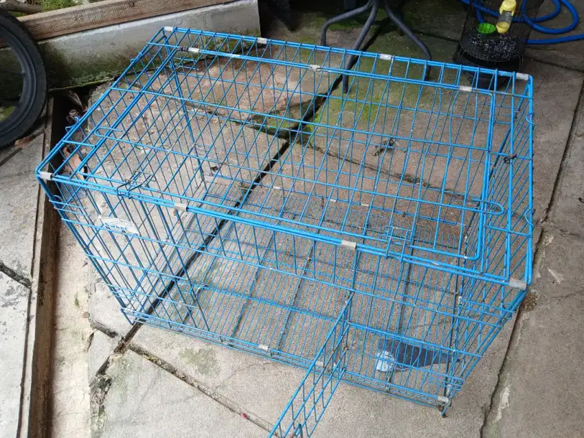 Kandang Kucing Size L