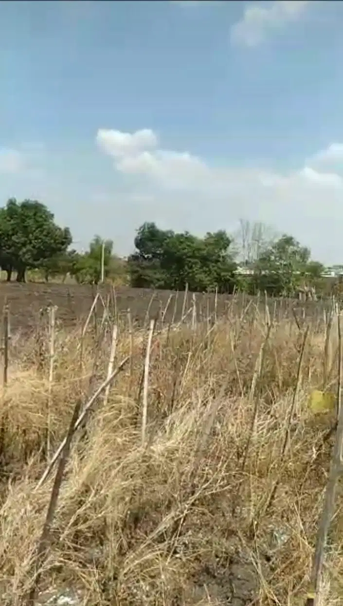 Tanah sawah dekat Pabrik Rotan Balong Panggang Gresik