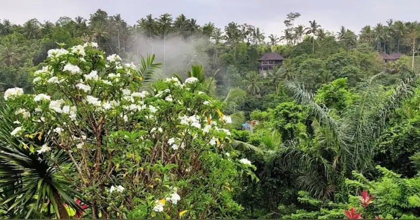 Land for Leasehold in Kedewatan Ubud with jungle views