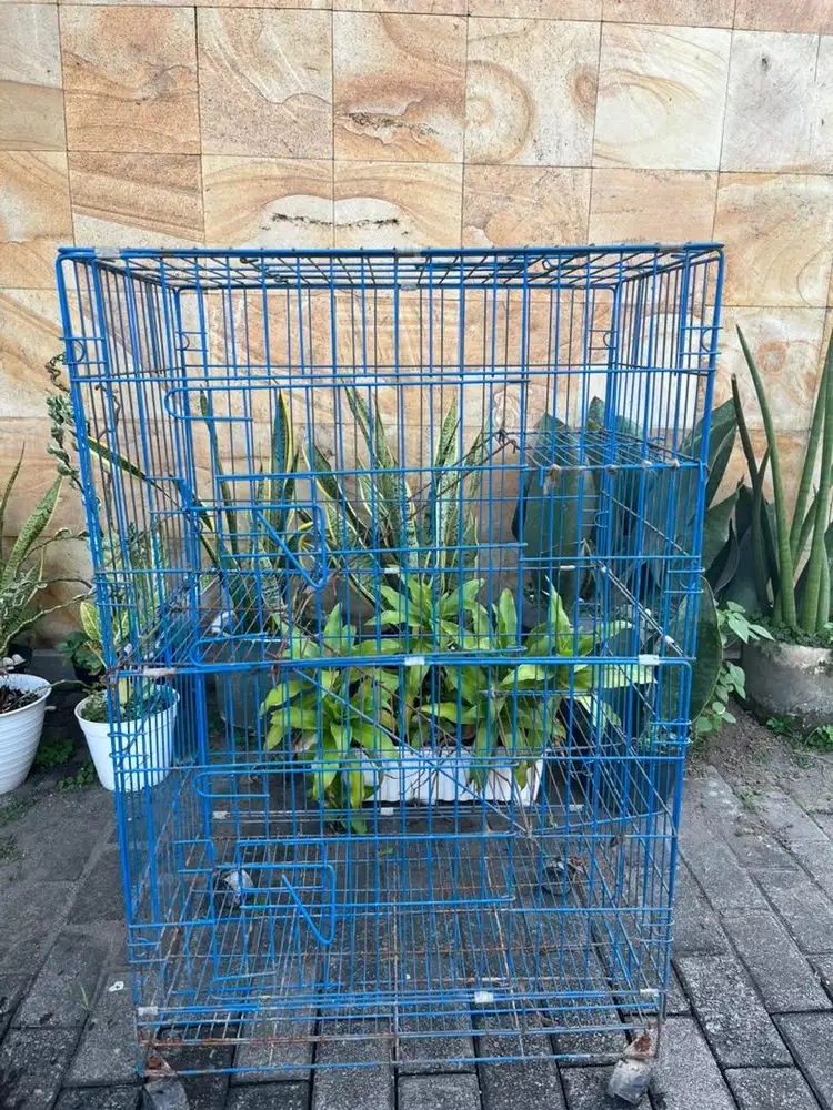 Jual kandang kucing bekas 3 tingkat