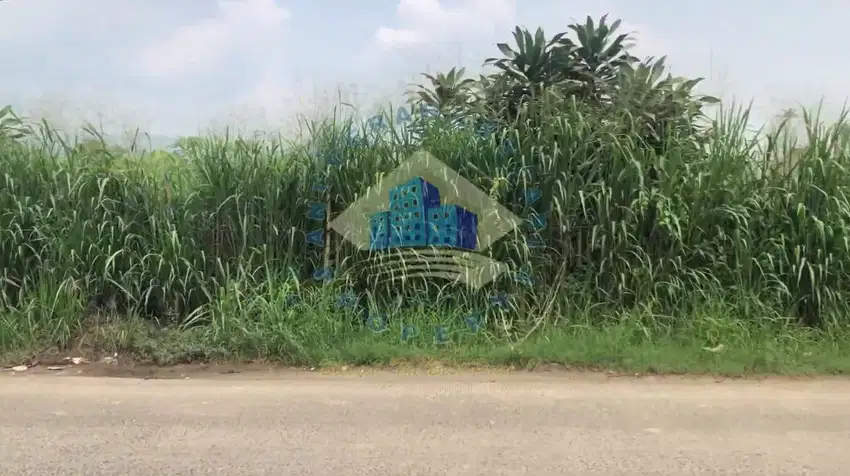 Dijual Tanah di Jl Putat Nutug, Ciseeng, Bogor - Jawa Barat.