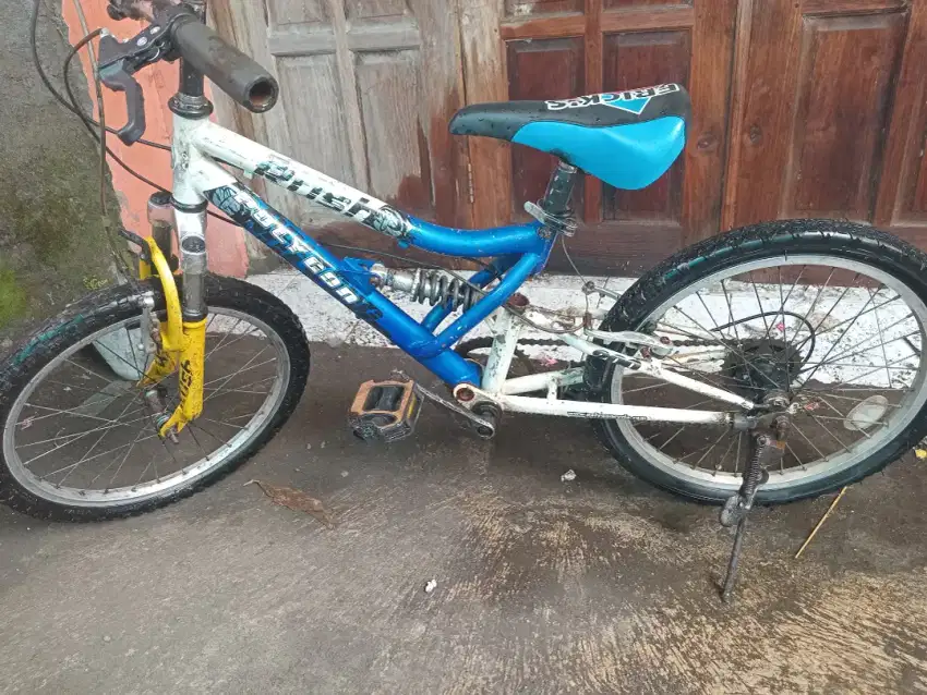 Mtb anak polygon ring 20