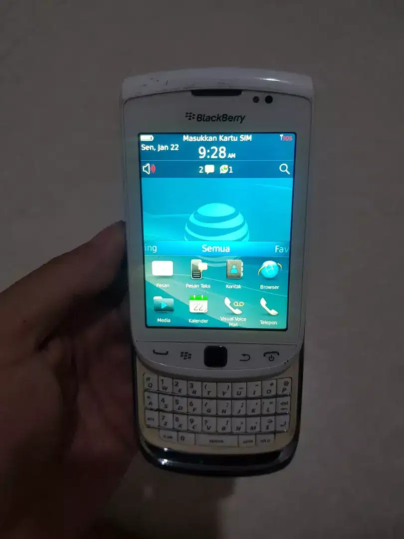 Blaxkberry 9810 (torch 2)