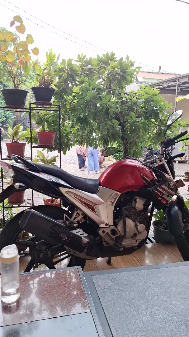 SCORPIO TH 2011