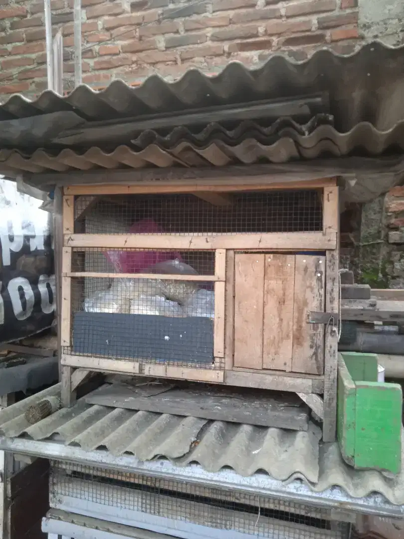 Kandang untuk ayam pitik/kelinci/kucing