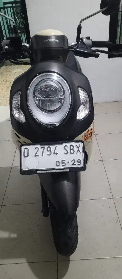 Scoopy Donat 2024