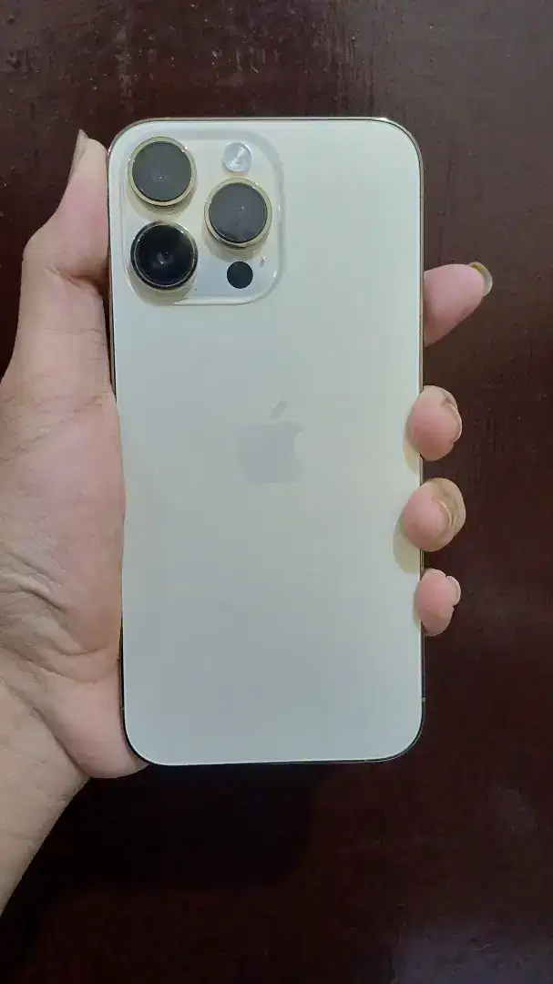 iphone 14 pro max 256gb inter all.operator gold