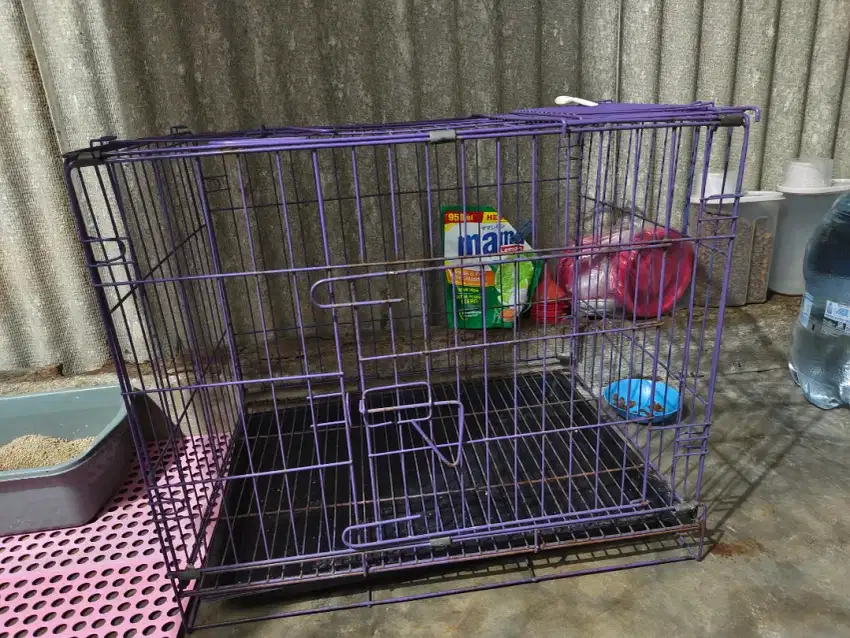 Jual Kandang Kucing Cepat