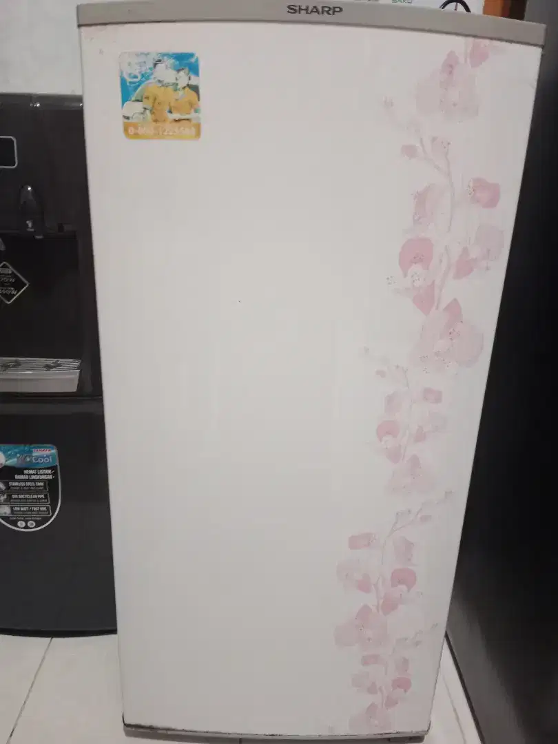 Kulkas sharp 1 pintu
