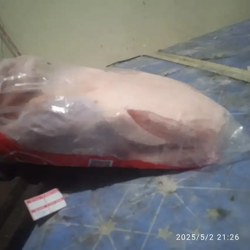 Bebek frozen mantapp