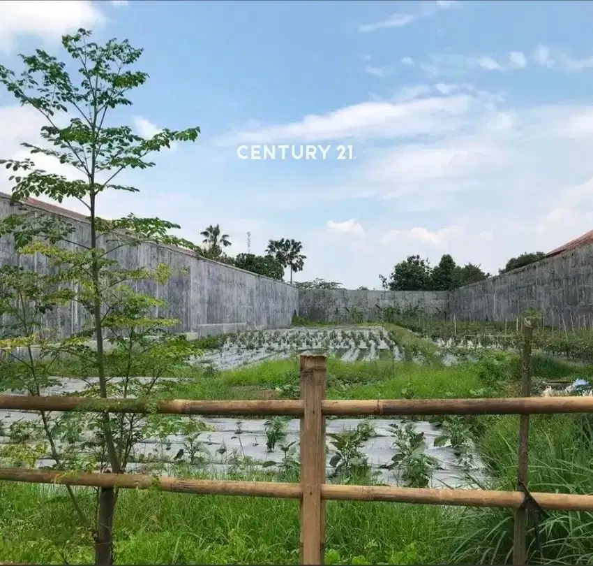 Di Jual Tanah Di Wahidin Sudirohusodo Klaten