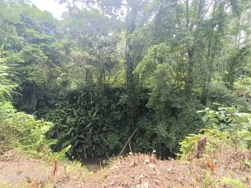 Tanah view Sungai dan Jungle di Kenderan dekat Ubud Bali