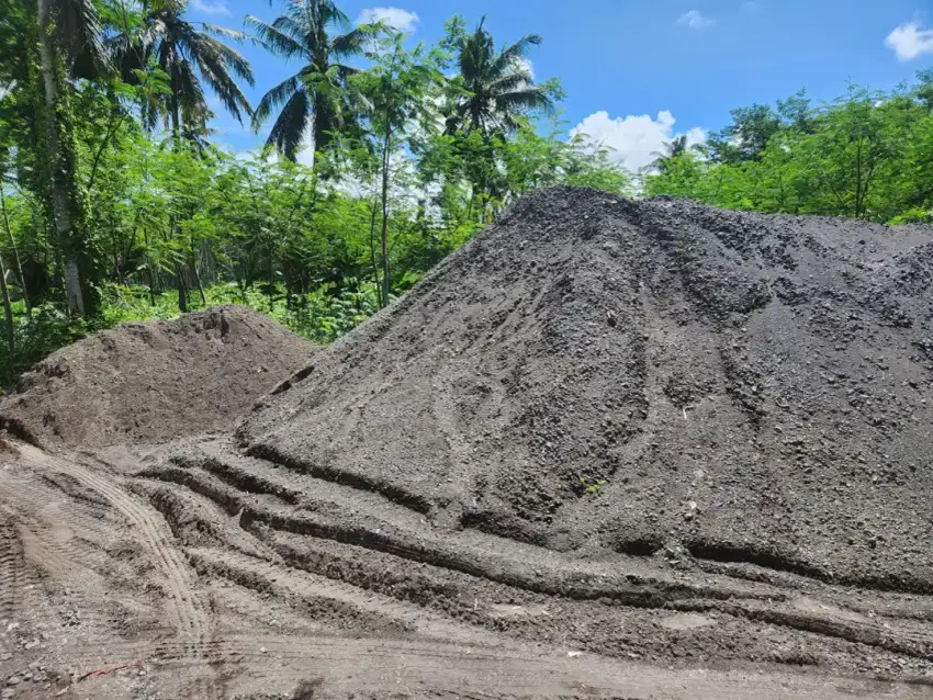 pasir lumajang asli