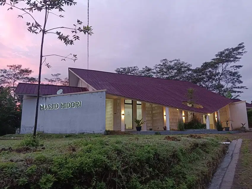Guru ngaji, muhafidz , siap tinggal dan memakmurkan masjid