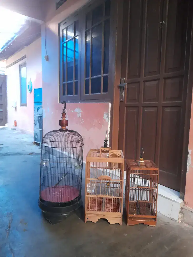 Sangkar bekas layak pakai