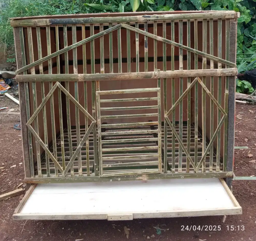 Kandang bok rawatan ayam Bangkok