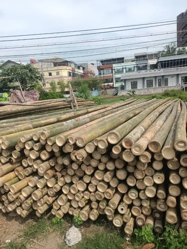 Bambu Steger diameter 8-9cm panjang 6 meter
