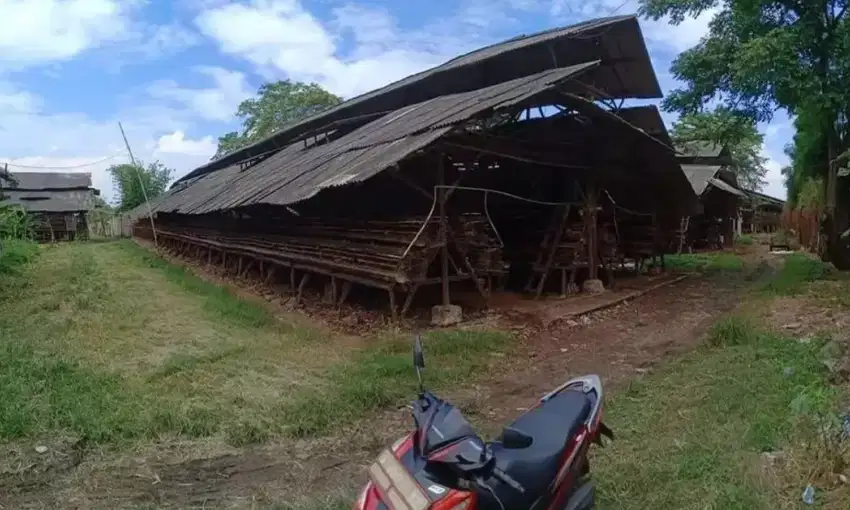 Take over peternakan ayam petelur di pasar kemis - tangerang