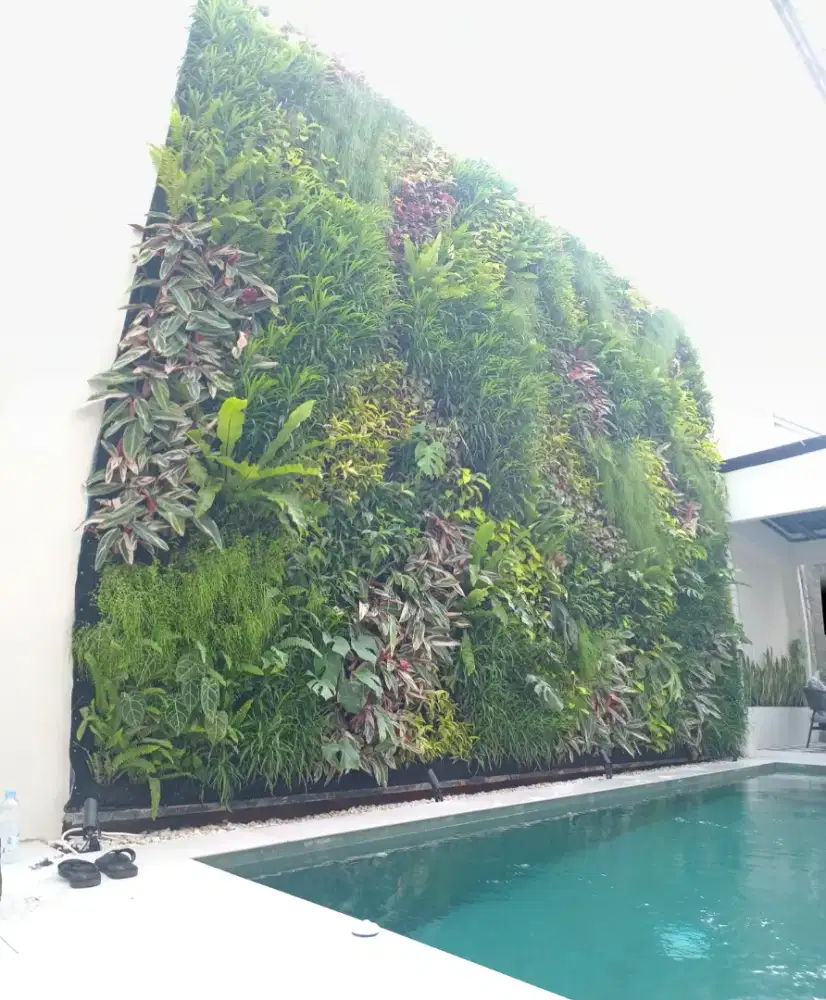 Taman vertical garden
