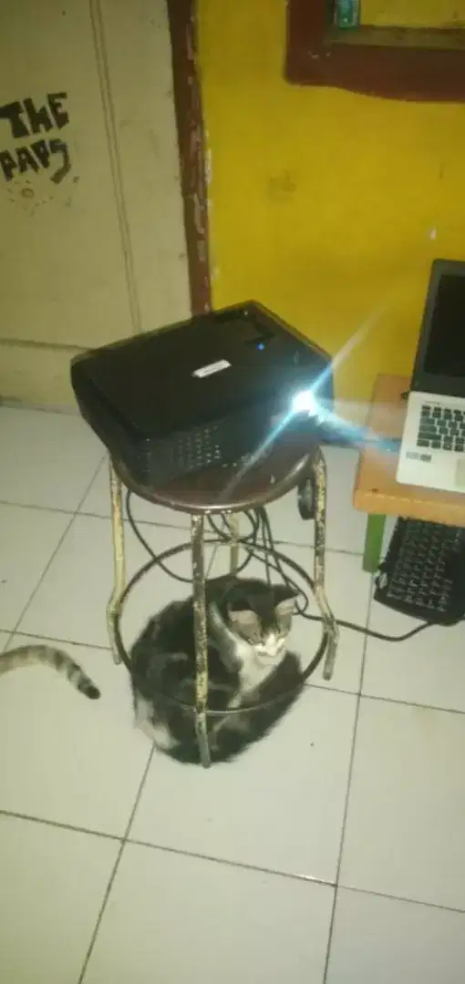 infocus x6 input vga dan video