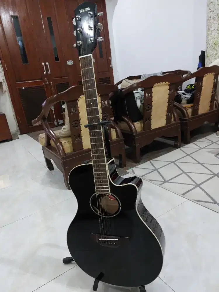 Gitar accoustic elec. Apx 600 & accesories
