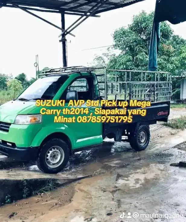 Mega Carry std pick up th2014