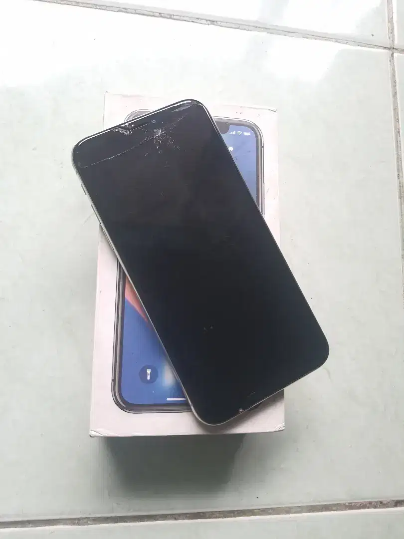 IPHONE X 256 GB FULLSET ICLOUD PASSCODE DIKASIH MATOT