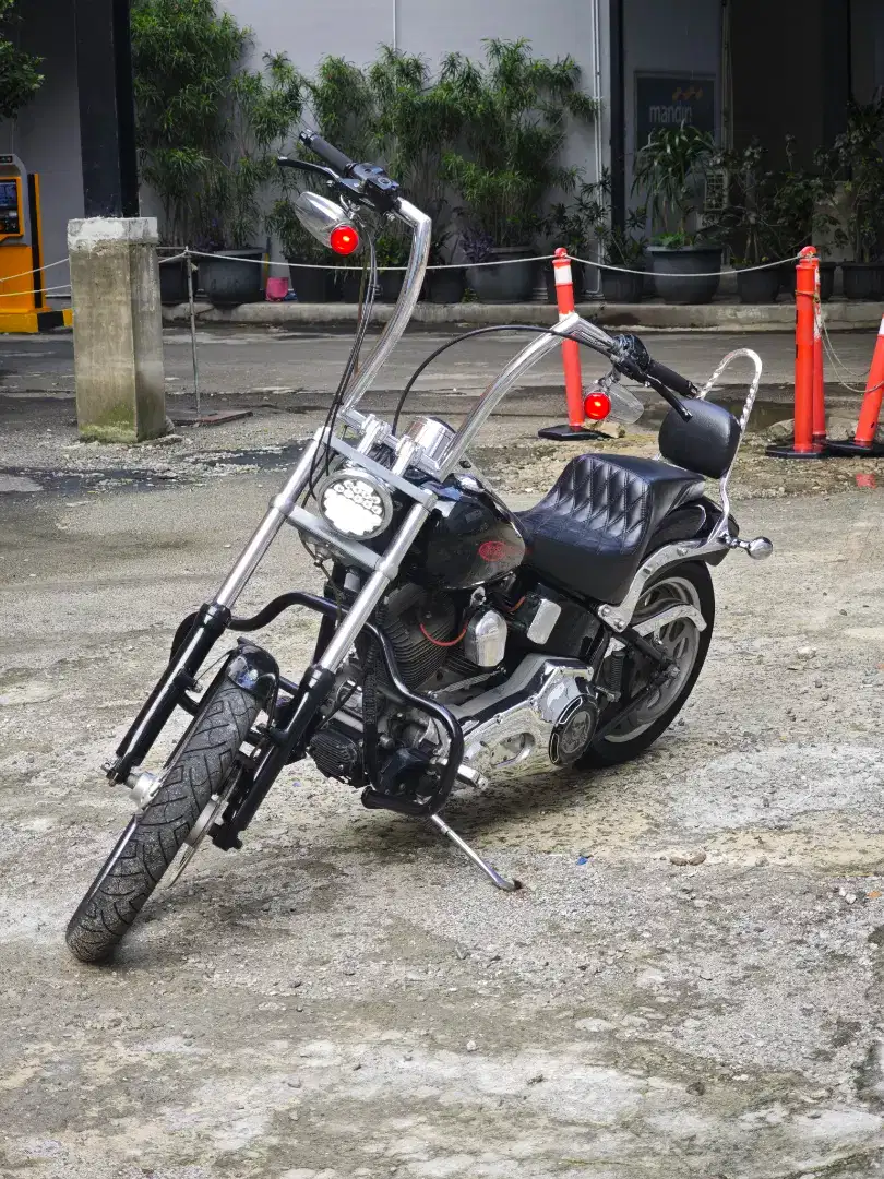 HARLEY DAVIDSON SOFTAIL STANDARD (CUSTOM)