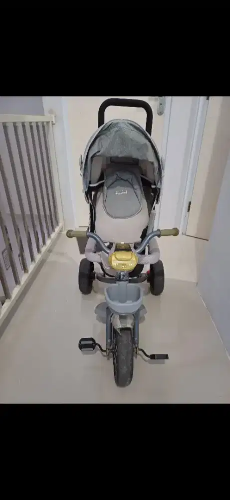 sepeda roda 3 family, roda besar