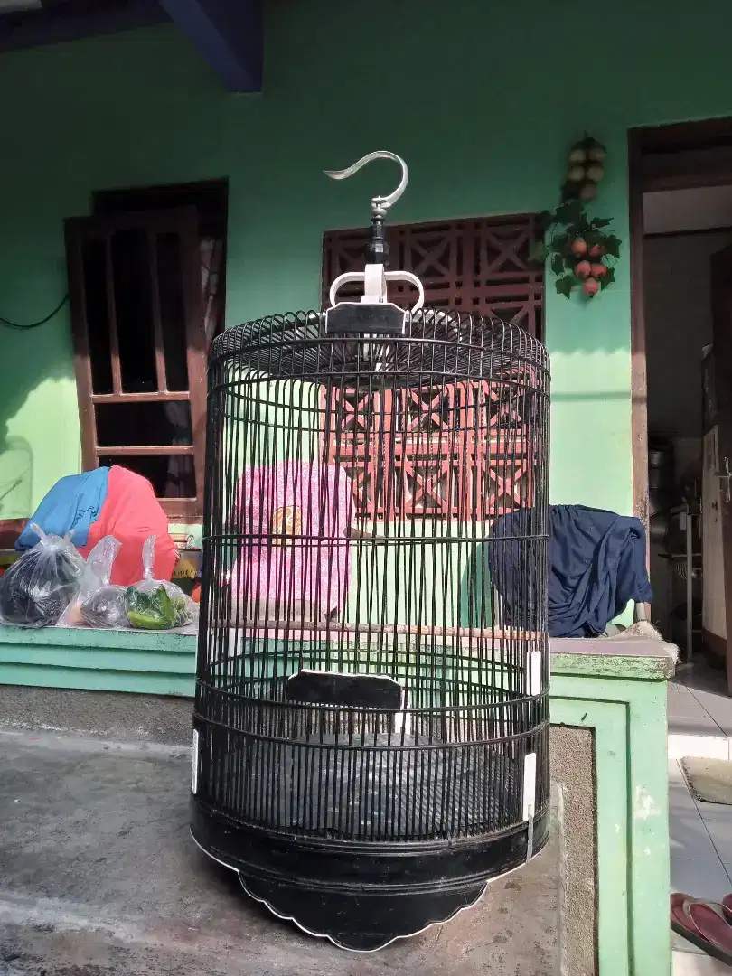 Sangkar murai no3