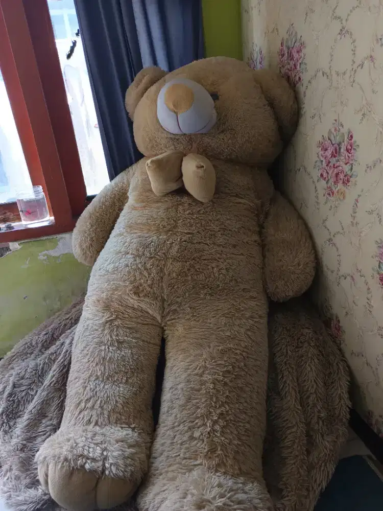 Teddy bear jumbo