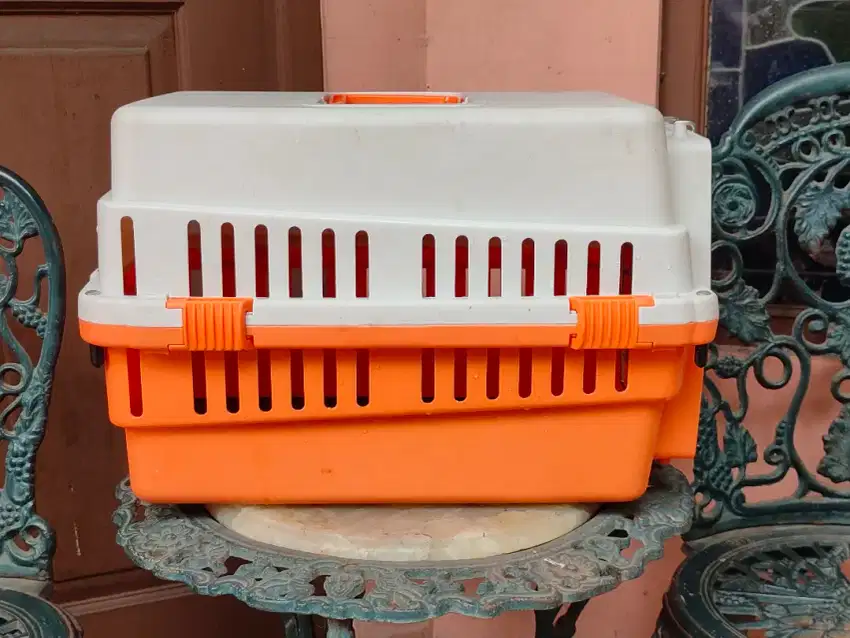 Pet Cat Cargo Cimanggis Depok