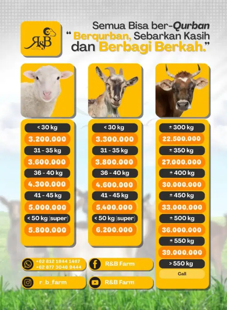 Hewan kurban Domba,kambing,sapi