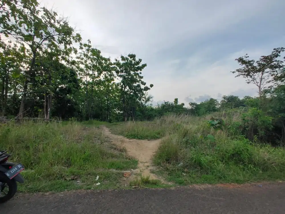 Dijual Murah Tanah Strategis Investasi Argasunya Situpatok