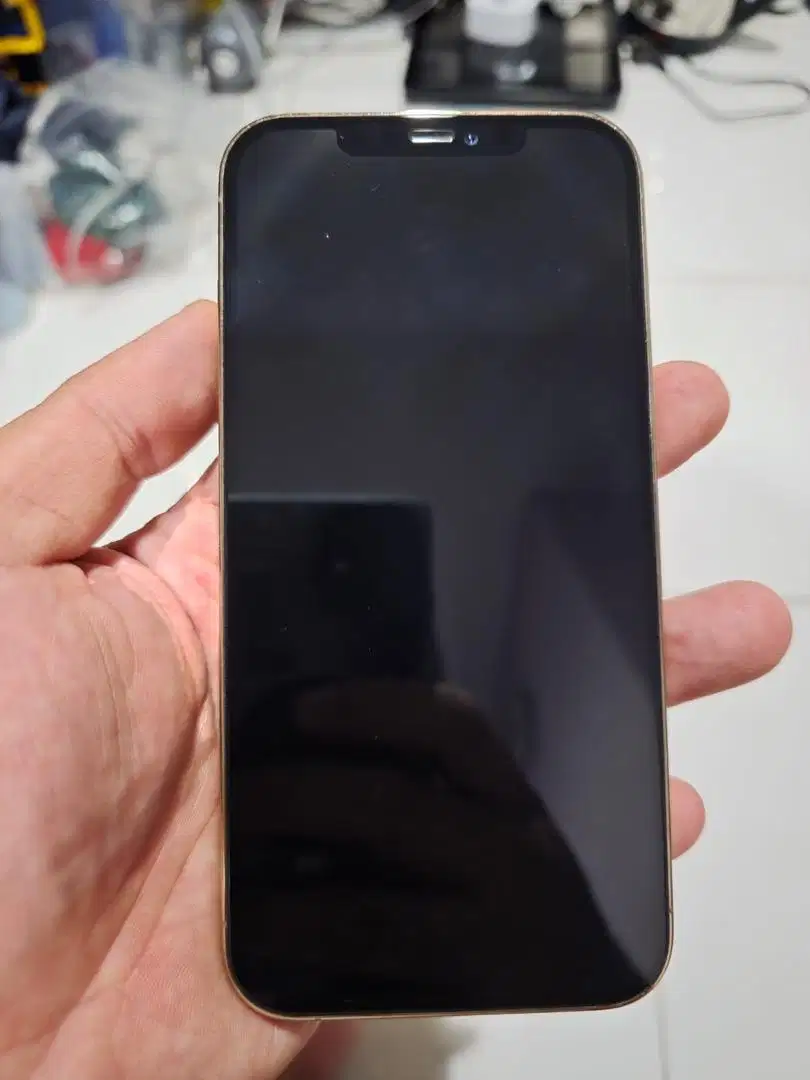 iPhone 12 Pro Max 512 (dual sim)