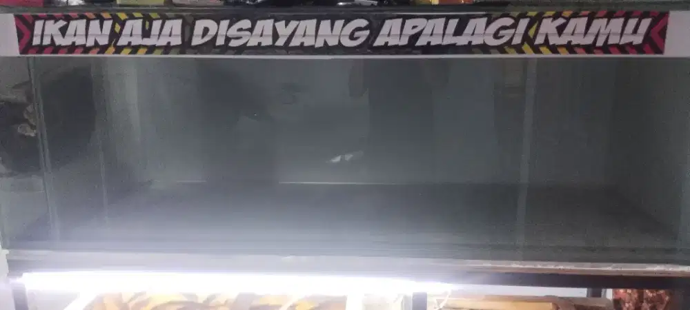 Akuarium ukuran 1 meter 80 cm