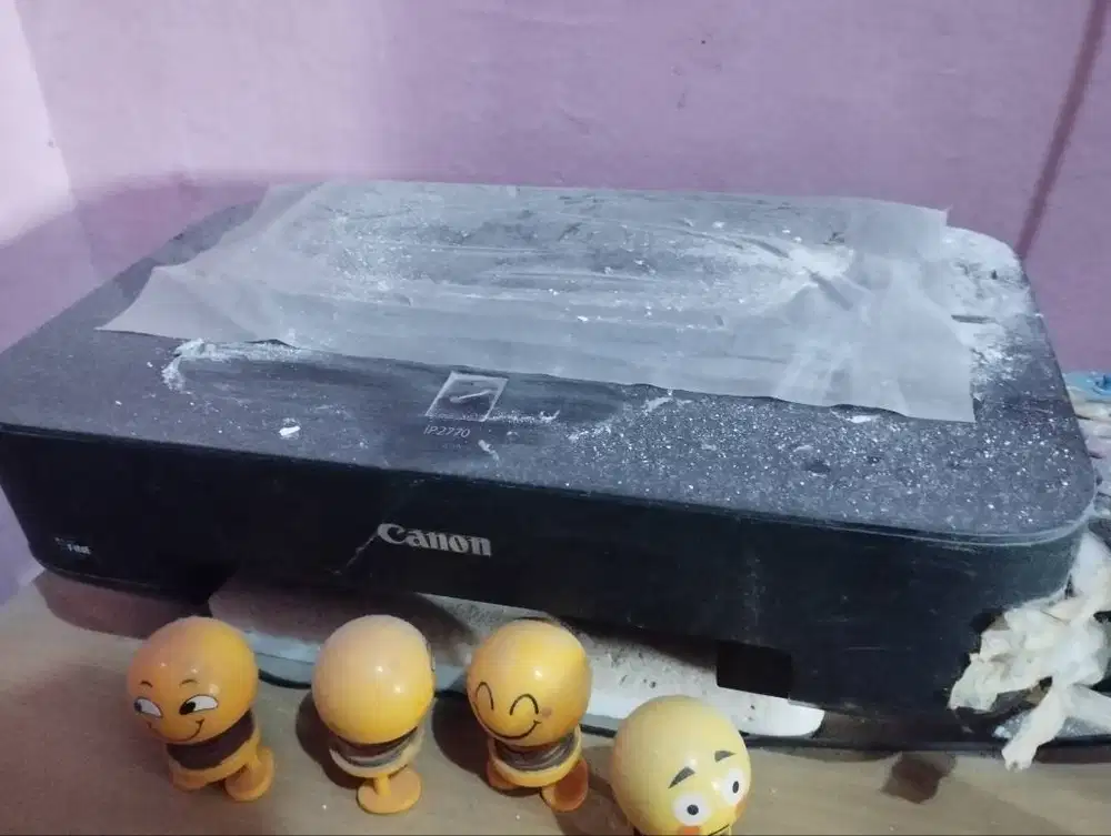 Printer Epson IP 2770