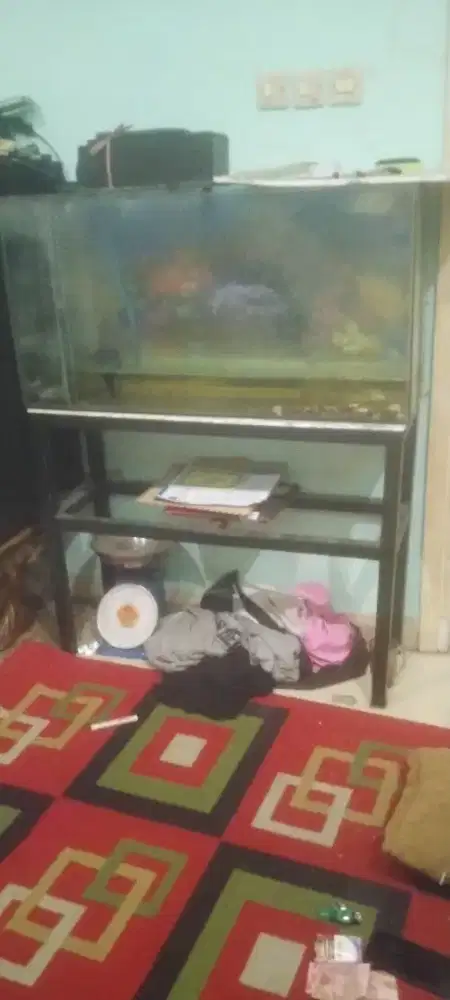 Satu Set Aquarium + Rak Aquarium