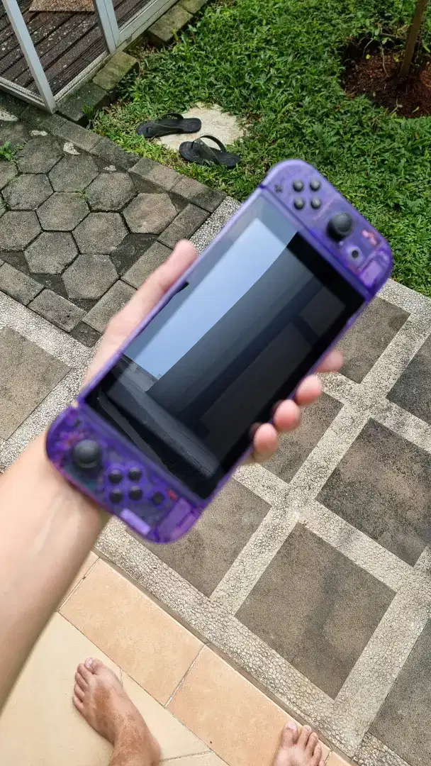 Nintendo switch mulus custom full extremerate