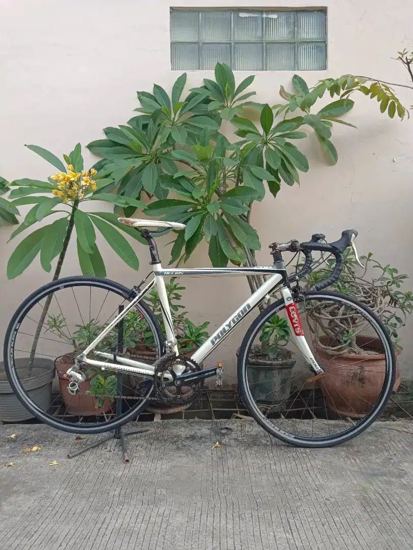 SEPEDA BALAP ROADBIKE POLYGON HELIOS 200 size C-T 50