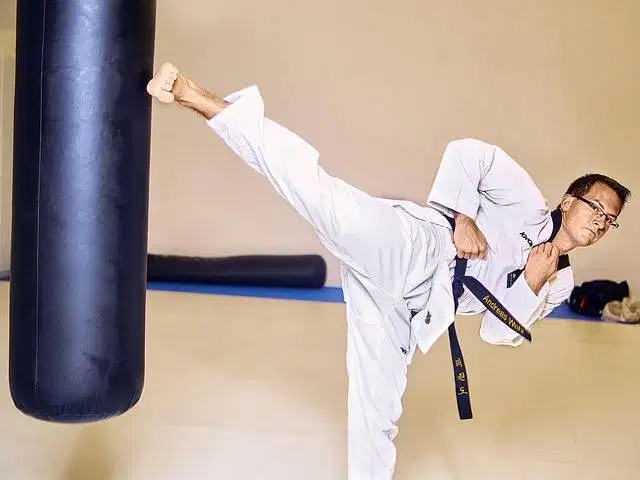 PELATIH TAEKWONDO KOTA WISATA